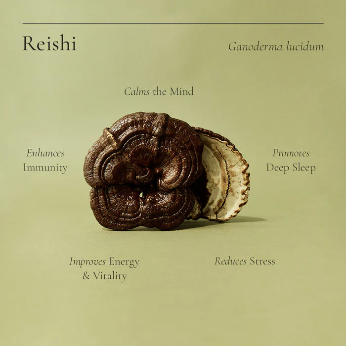 Superfeast Reishi Powder 100g