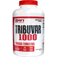 SAN Tribuvar 1000